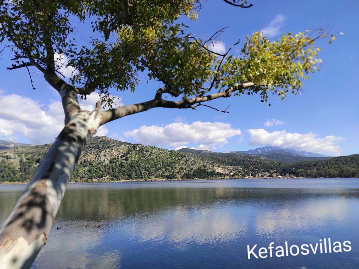 Kefalos Studios Argostoli Buitenkant foto